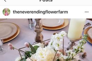 The Never Ending Flower Farm - 27