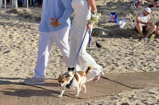 Prisar Weddings and Events - 114