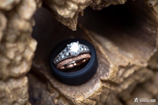 Randall Gee Photography - 1