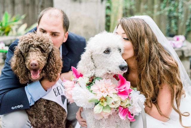McKenzie Taylor Photography - 3