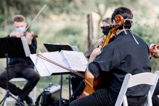 Terra Vista Strings - 13