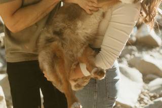 Abbey Hunter Photo - 6