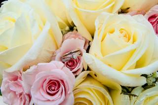 Shelby Laine Photography - 46