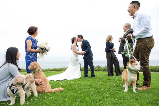 Intimate Ceremonies San Diego 4