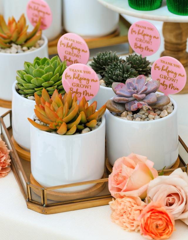 Events By Adam Afara - 2