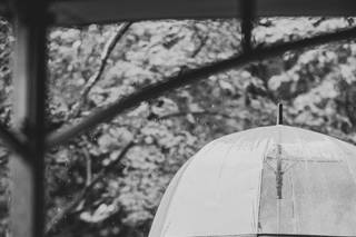 Jack Robert Photography - 15