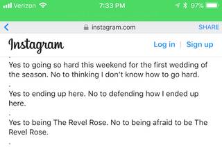 The Revel Rose - 26