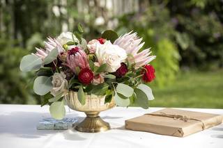 Velvet Blooms - 19