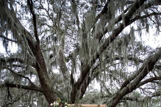 Gather and Grace Designs - 44