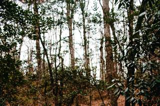 Mary Lee Palmer Photography - 10