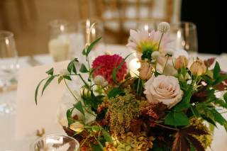 Modern Foliage Designs, LLC. - 5