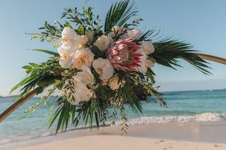 Paradise Planning - 36