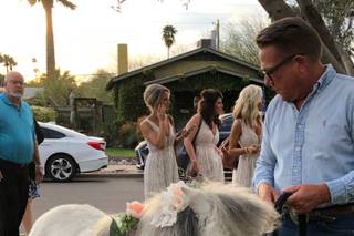 Arizona Wedding Planners - 32