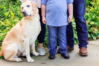 KatieSweeneyPhoto - 8