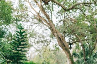 Sydney Morman Photography - 9