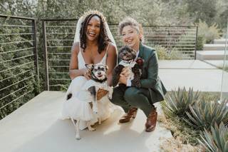 Wedding Tails- PET HANDLER - 5