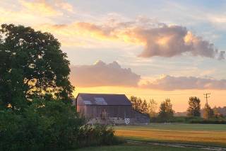 Lavender Shores Farm - 30