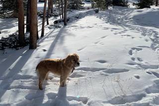 The Lodge at Breckenridge - 34