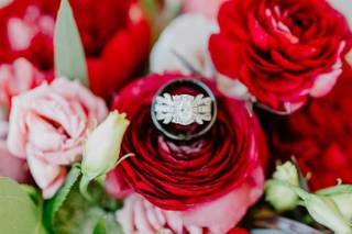 Allie Chambers Photography - 14