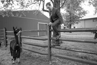 WoodsEdge Farm Events - 75