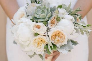 Julie Stevens Design - 8