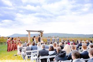 Big Cork Vineyards - 24