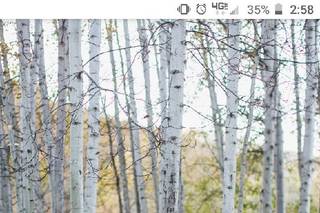 Pixy Prints Photography - 39
