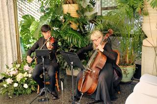 Sweet Harmony Music - 7