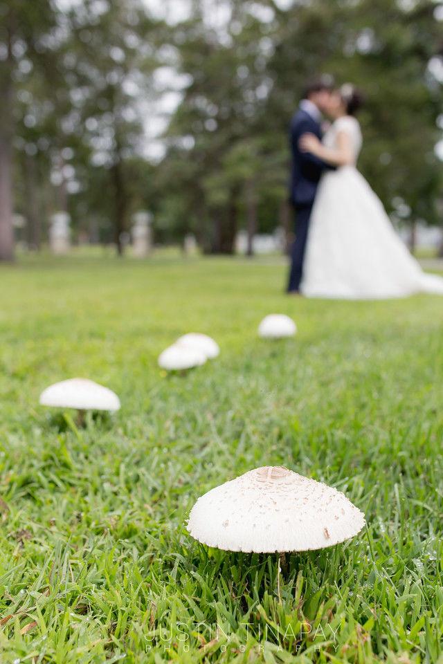 Justin Tinapay Photography - 2