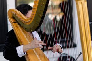 Laura Byrne Harpist - 6