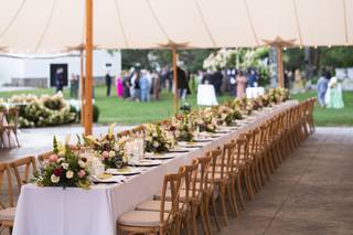Socialite by Design Team - 7