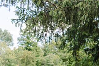Gypsy Hill Florals & Event Design - 21
