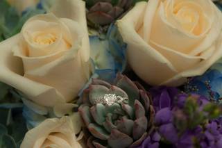 The Blue Orchid - 6
