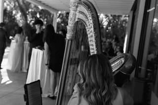 Harpist Kristen Elizabeth - 5