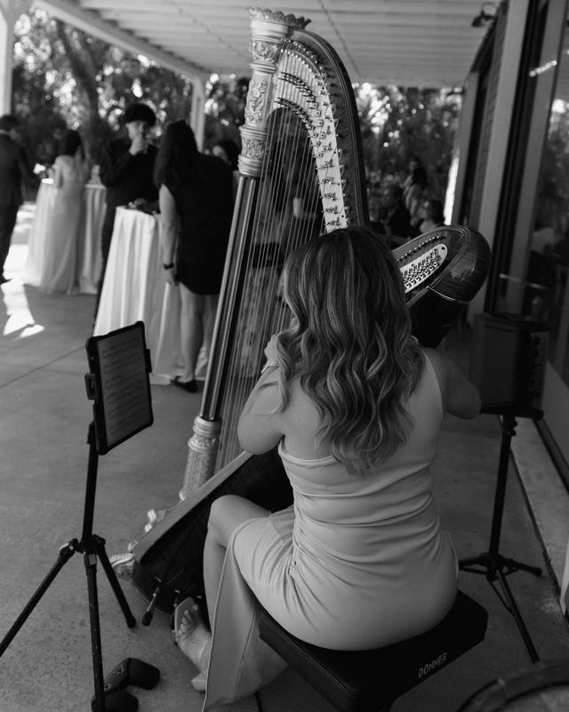Harpist Kristen Elizabeth - 2