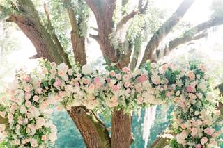 Social Graces Events - 36