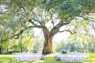 Magnolia Plantation and Gardens - 5