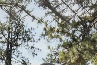Tahoe Weddings  AGoGo - 11