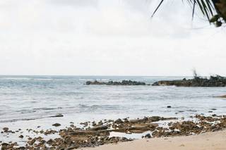 Loulu Palm Weddings 5