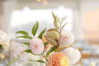 Kate Campbell Floral - 6
