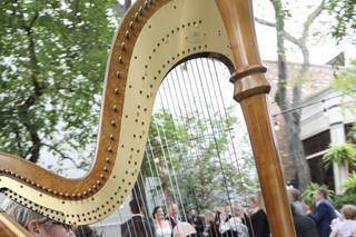 Debbie Beck - Harpist - 11