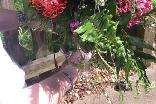 Xpressions Floral & Event Design - 83