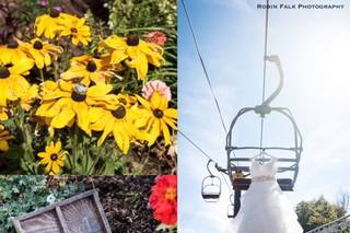 Robin Falk Photography - 6