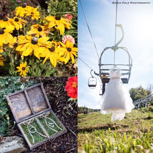Robin Falk Photography - 3