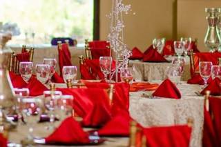 Chair Covers N More - 6