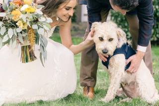 Forever North Photography - 32