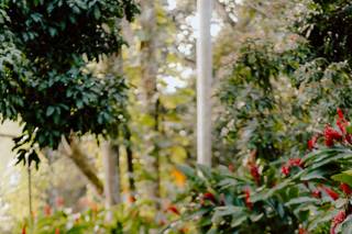 Serena Boutique Hotel - 6
