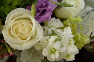 Towers Flowers - 13