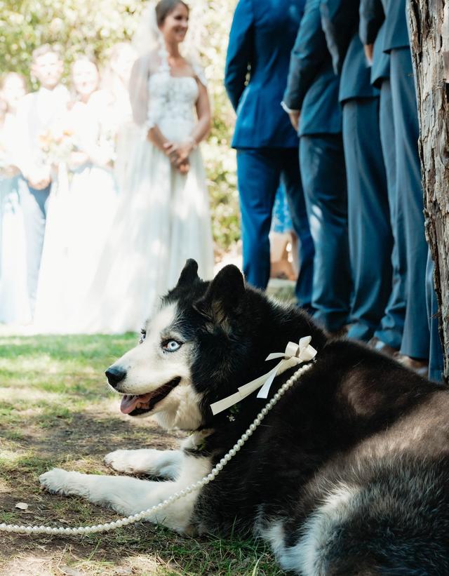 Kate Michelle Photography - 2