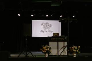 The Rose - 10